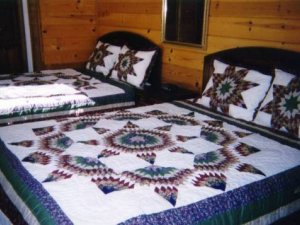 Downstairs Bedroom