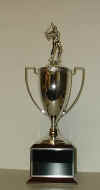 cup1.JPG (25656 bytes)
